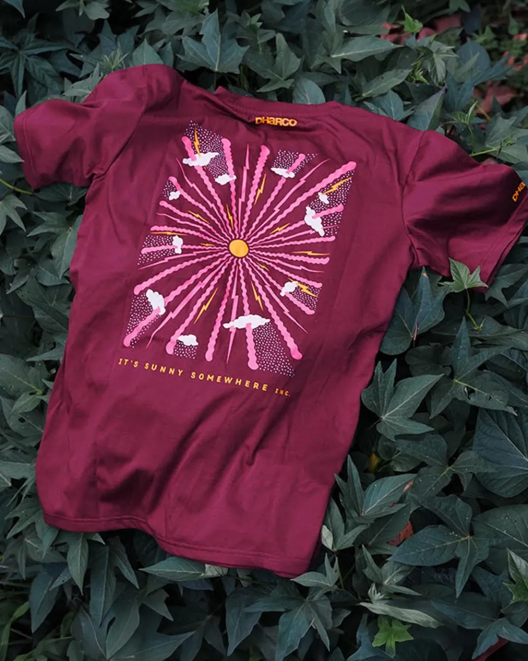 Mens Short Sleeve Tech Tee | It's Sunny X DHaRCO